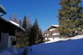 Wonderful Attic in Dolomite's Heart Selva Di Cadore